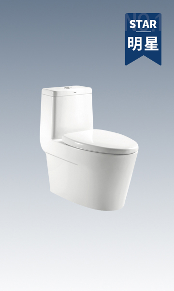 HC0136DT超旋風節(jié)水坐便器