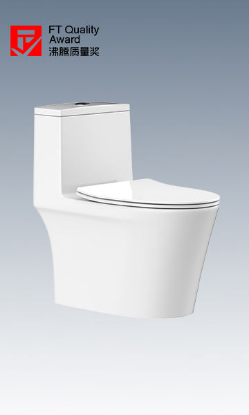 HC0905DT D5超旋風座便器